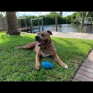 Meet your Posher, Danielle